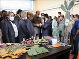 نمایشگاه توانمندی‌های روستایی جوادآباد ورامین افتتاح شد