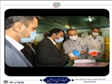 بازدید مجید درویشی سرپرست فرمانداری شهرستان ورامین از کارخانه شیر وارنا