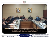 جلسه بررسی مشکلات کمربندی شمالی ورامین (حدفاصل میدان ولیعصر تا میدان بسیج) در محل فرمانداری ورامین با حضور فرمانداران شهرستان های #ورامین و #پیشوا برگزار شد