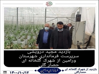سرپرست فرمانداری شهرستان ورامین از شهرک گلخانه ای حصارگلی  بازدید کرد