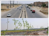 ایجاد فضای سبز و درختکاری در حاشیه کمربندی شمالی ورامین