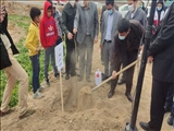 حفظ و نگهداری از غرس نهال حیاتی تر است