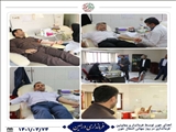 اهدای خون توسط فرماندار و معاونین فرمانداری به مناسبت روز جهانی انتقال خون