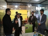 معاونت هماهنگی امور اقتصادی استانداری تهران از باغ نوآوری ورامین بازدید کرد