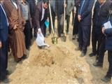 آغاز عملیات کاشت درخت در ۱۰۰ هکتار از اراضی شهرستان ورامین