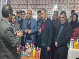 افتتاح نمایشگاه فروش بهاره در ورامین با حضور مسئولان و فعالان اقتصادی