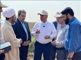 تأکید فرماندار ورامین بر استفاده از سیستم‌های نوین کشاورزی