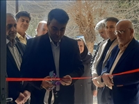 تقویت جامعه سالمندان و جوانی جمعیت از اولویت های دستکاه های اجرایی باشد